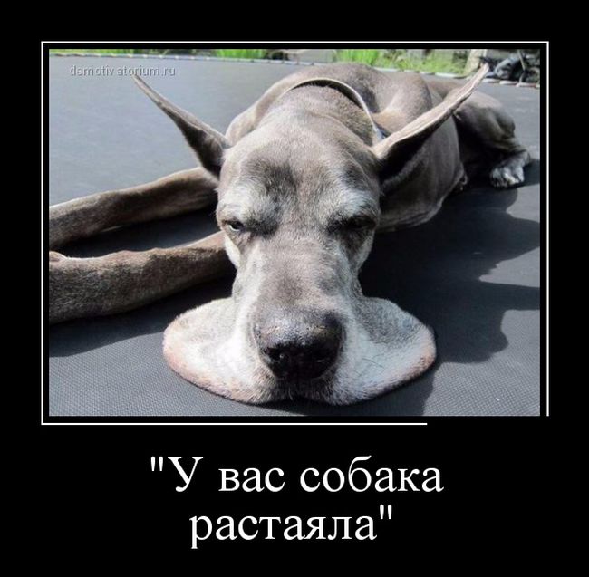 Демотиваторы