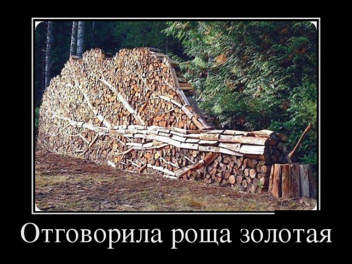 Демотиваторы