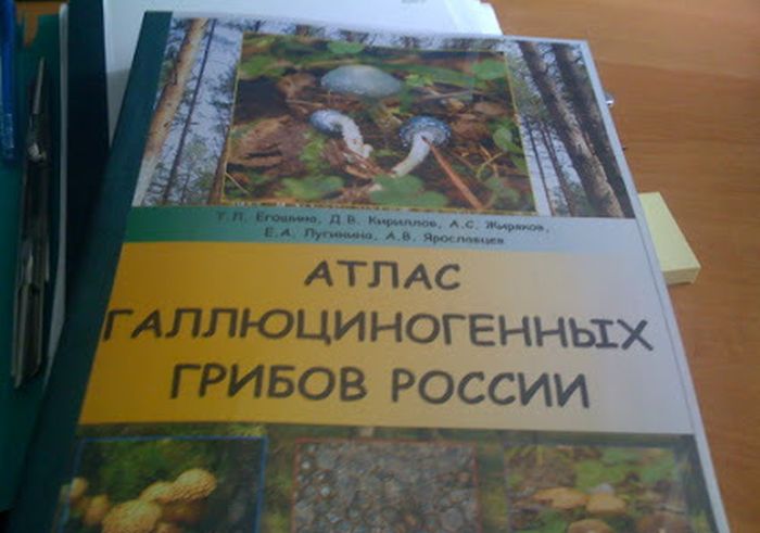 Порция кратинок