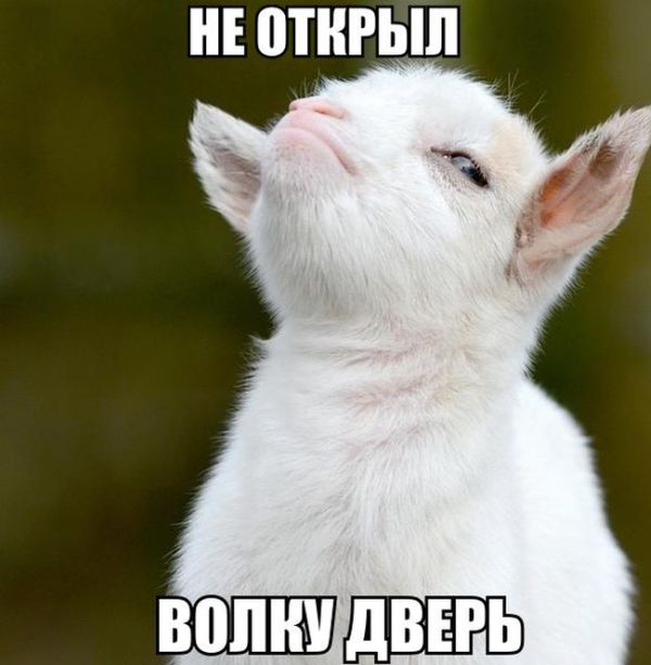 Порция кратинок