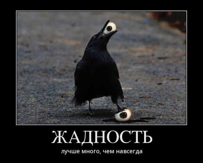 Демотиваторы