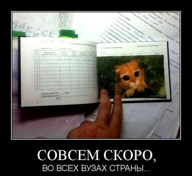 Демотиваторы