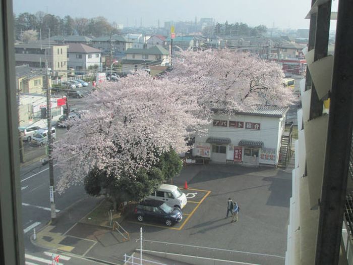 Порция картинок