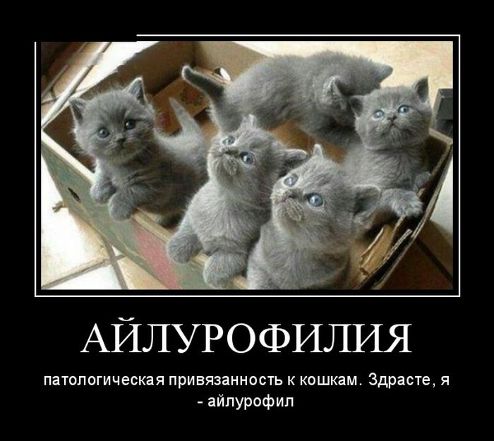 Демотиваторы