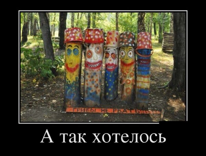 Демотиваторы