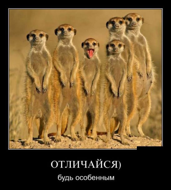 Демотиваторы