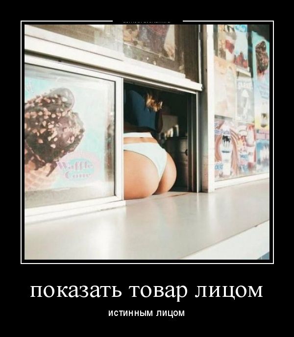 Демотиваторы
