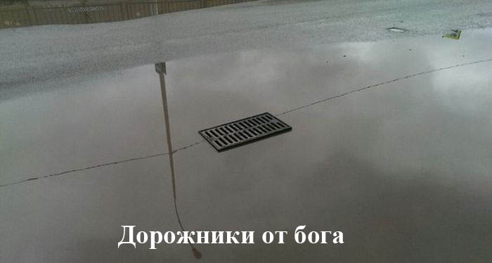 Порция картинок