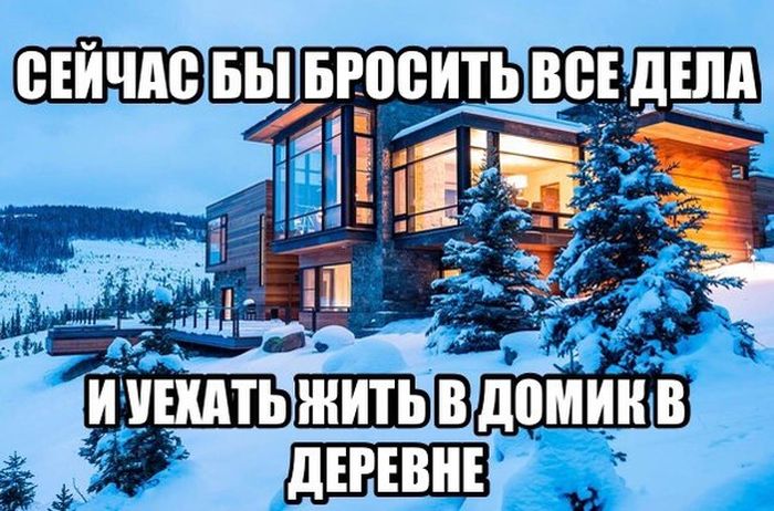 Порция картинок