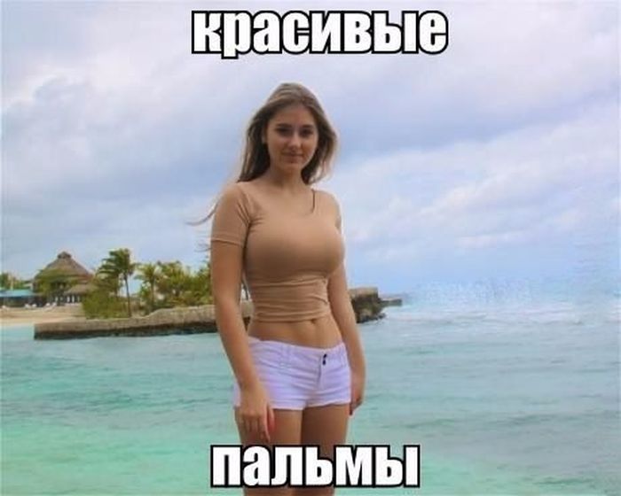 Порция картинок
