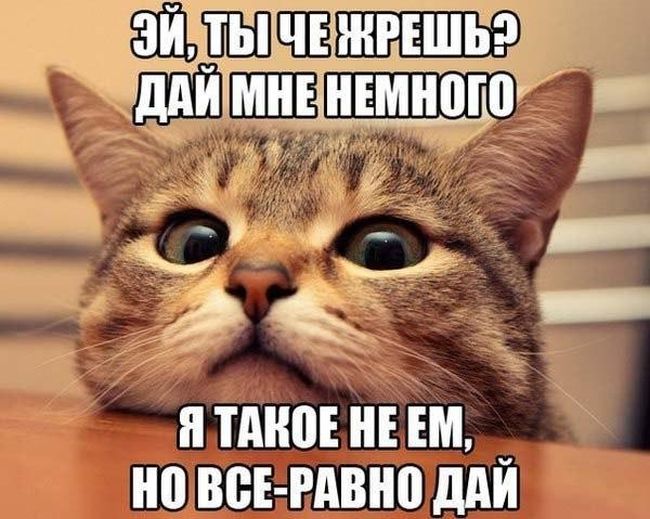 Порция картинок