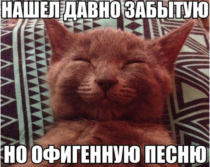 Порция картинок