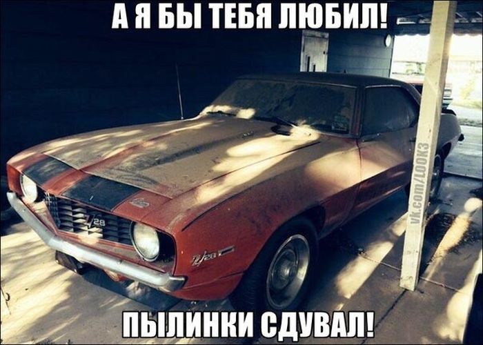 Порция картинок