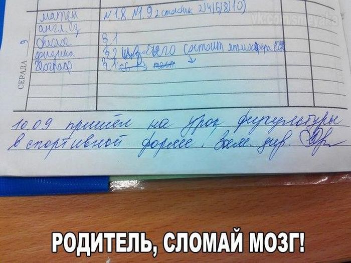 Порция картинок