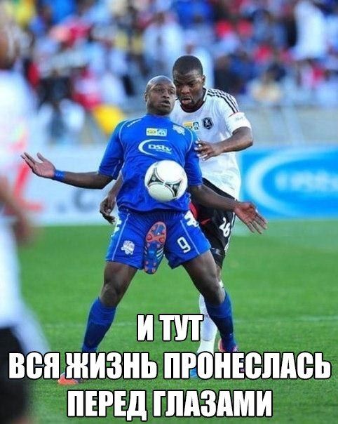 Порция картинок