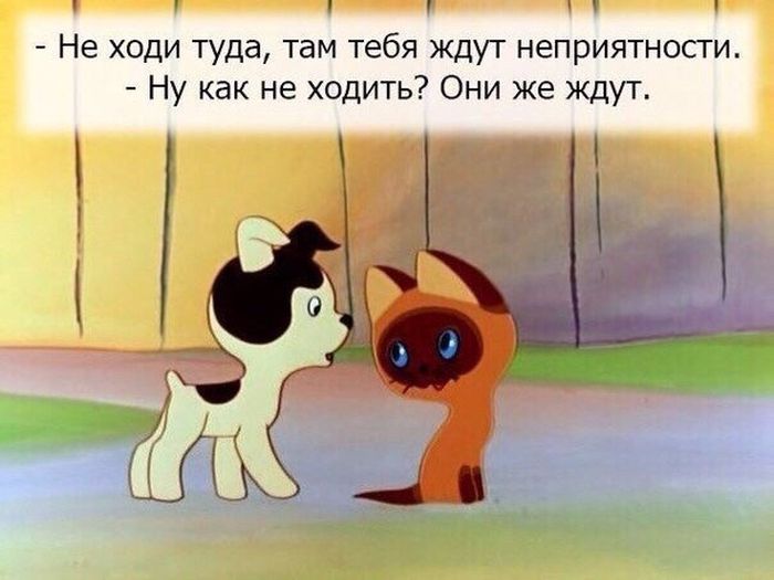 Порция картинок