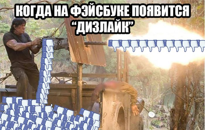 Порция картинок