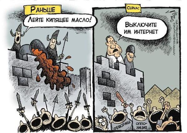 Порция картинок