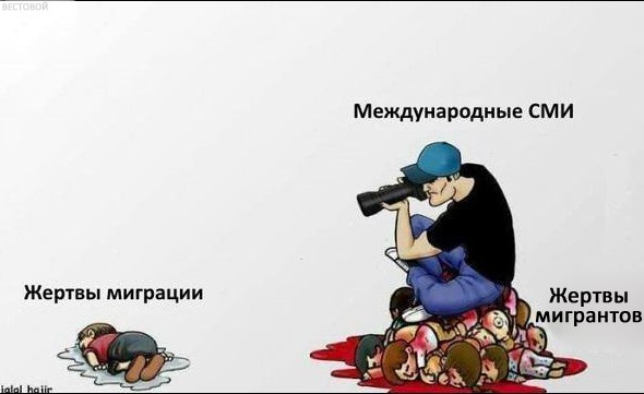 Порция картинок