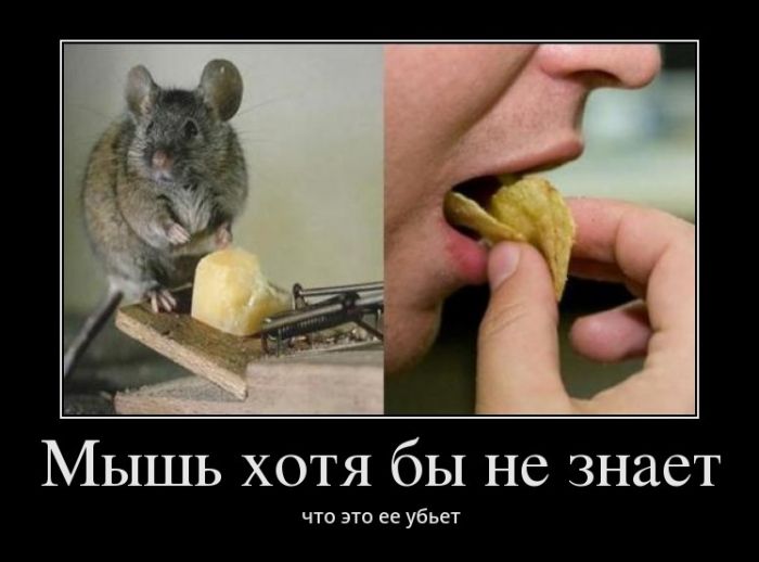 Демотиваторы