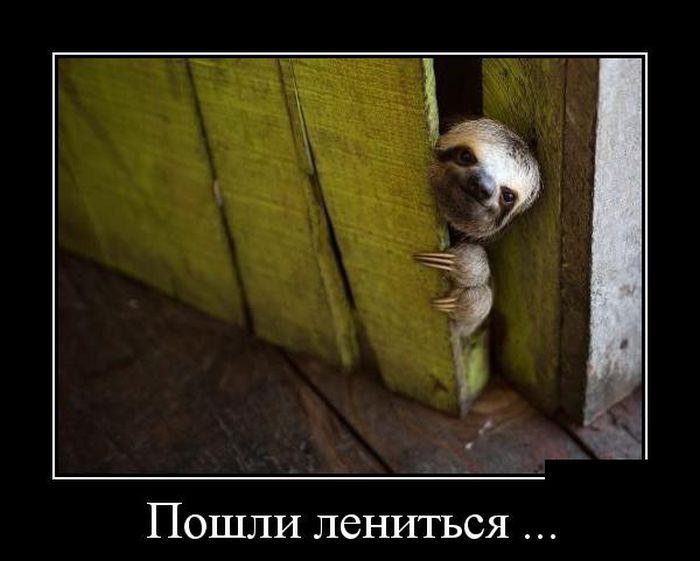 Демотиваторы