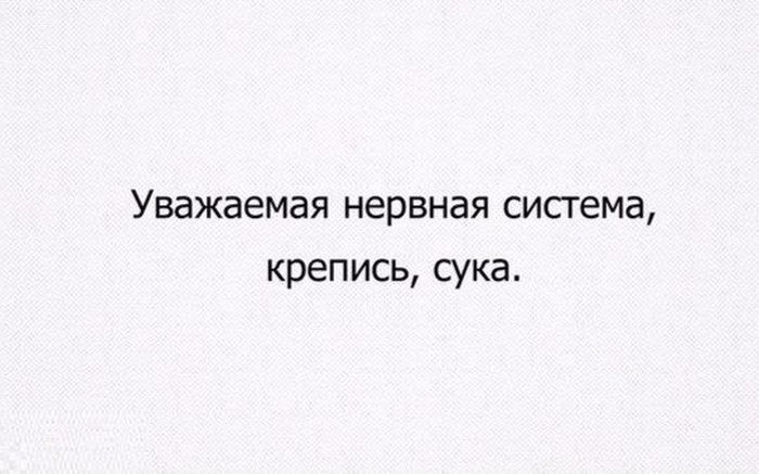 Порция картинок