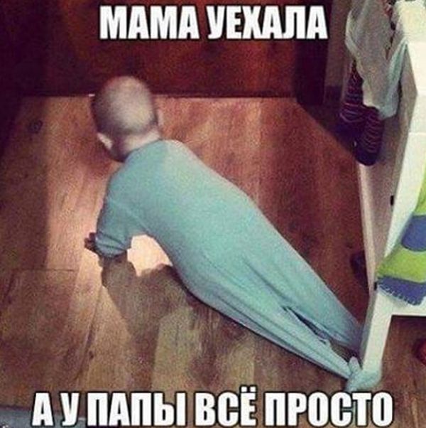 Порция картинок
