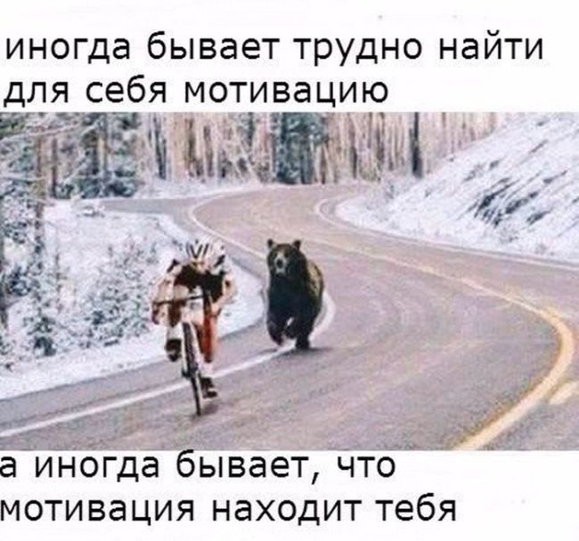 Порция картинок