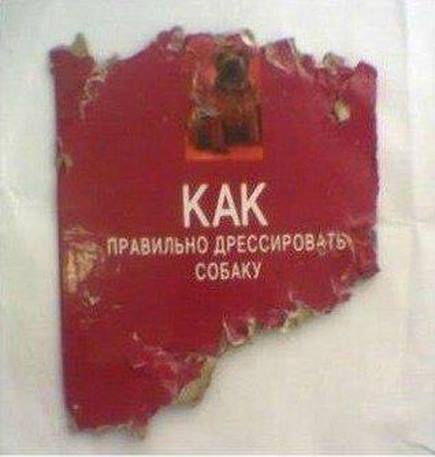 Забавные картинки