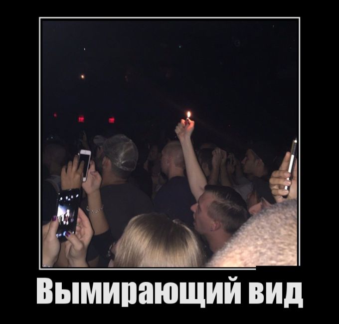 Демотиваторы