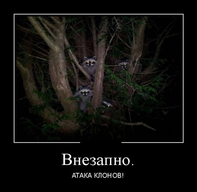 Демотиваторы