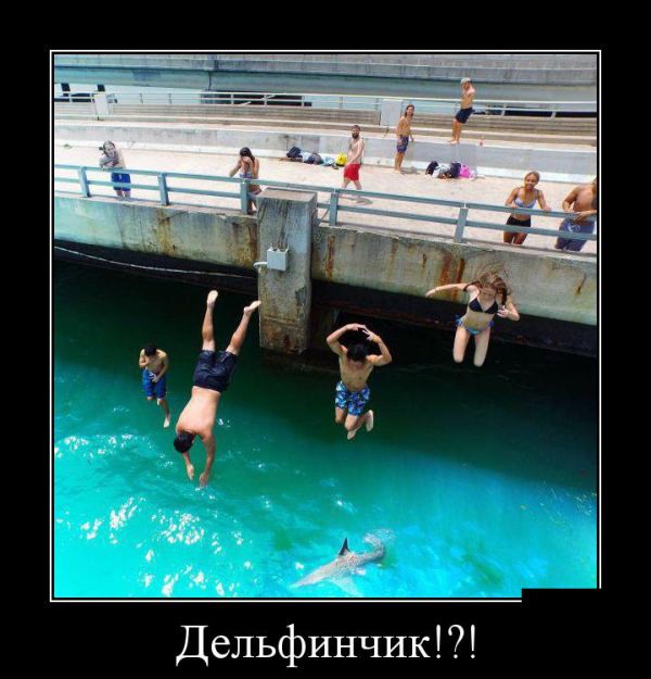 Демотиваторы