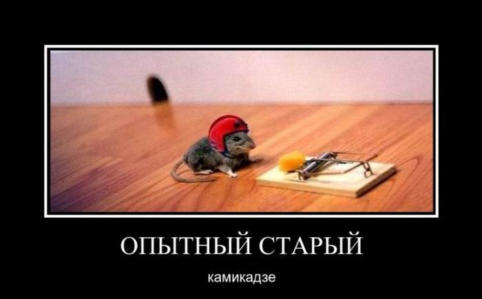 Демотиваторы
