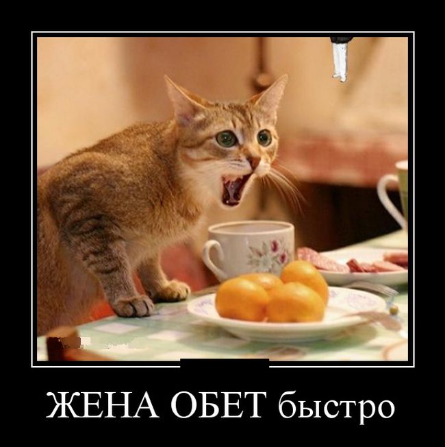 Демотиваторы