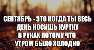 Порция картинок