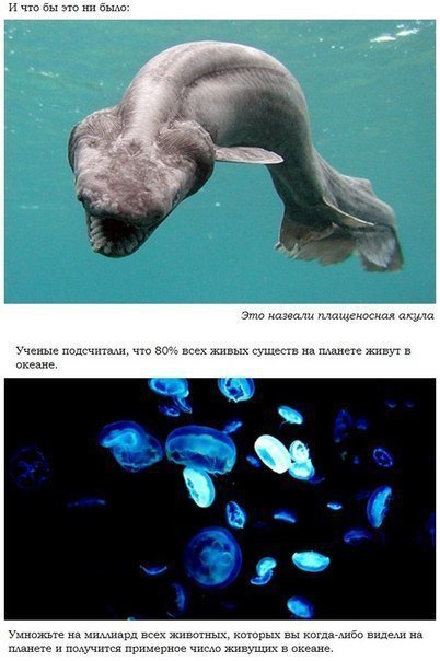 Об океане