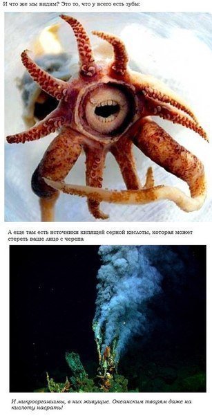 Об океане