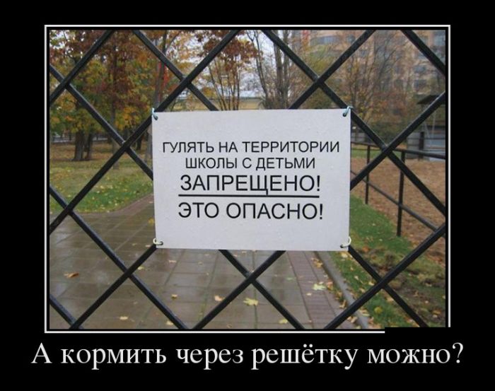 Демотиваторы