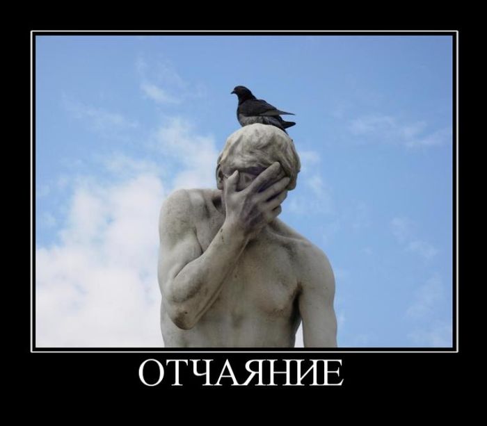 Демотиваторы