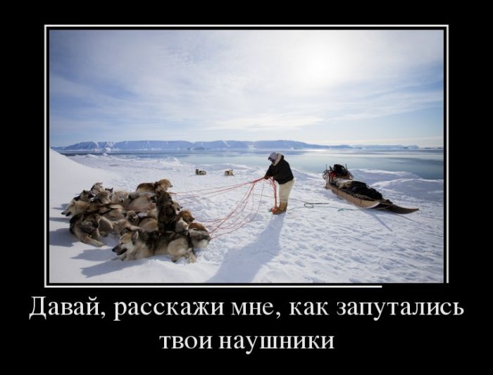 Демотиваторы