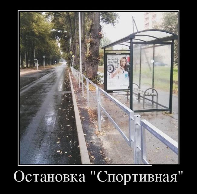 Демотиваторы