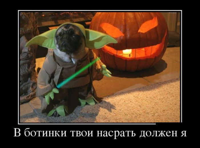 Демотиваторы