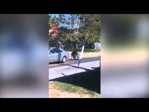 Добили... Добили...