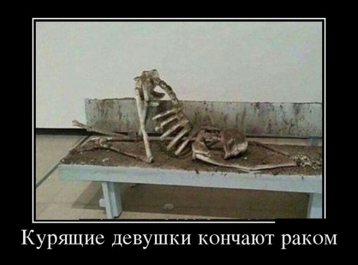 Демотиваторы