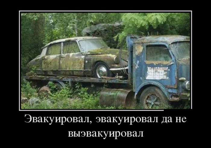 Демотиваторы