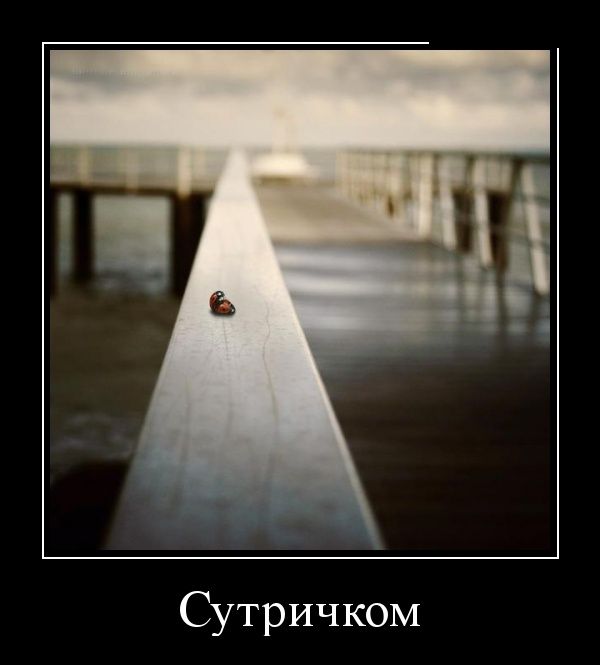 Демотиваторы
