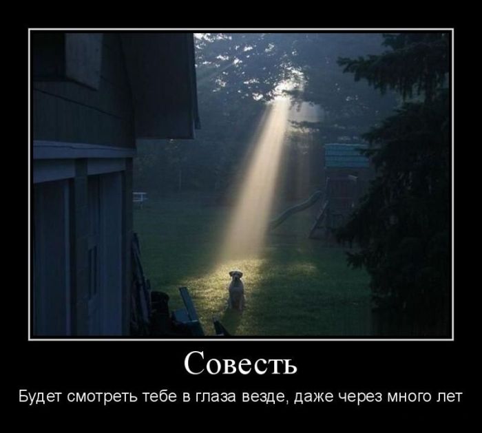 Демотиваторы