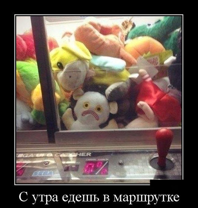 Демотиваторы