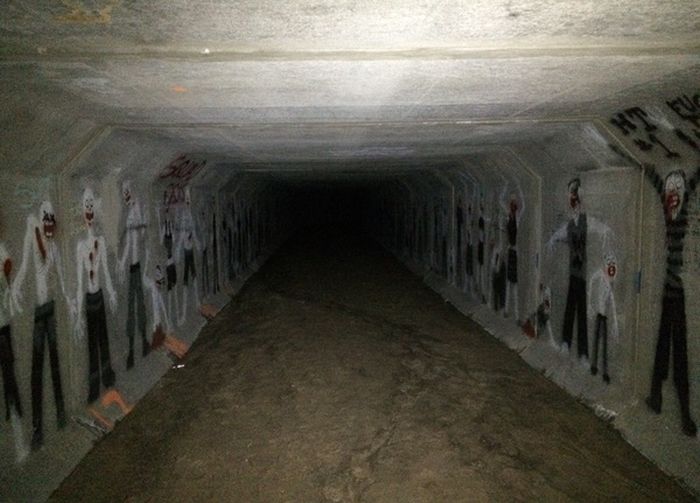 Порция картинок