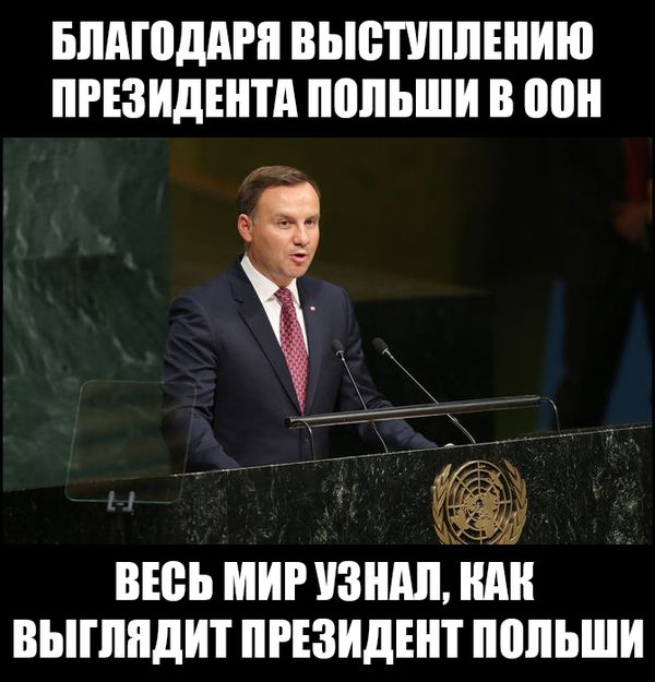 Порция картинок